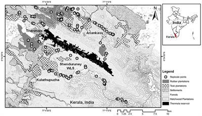 Stretching the Habitat Envelope: Insectivorous Bat Guilds Can Use Rubber Plantations, but Need Understorey Vegetation and Forest Buffers